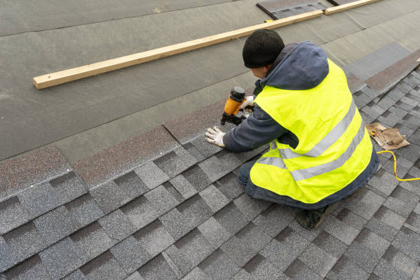 Best Roof Restoration Services  in Webberville, MI