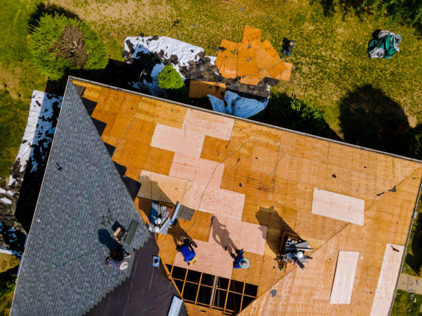 Best Roof Leak Repair  in Webberville, MI