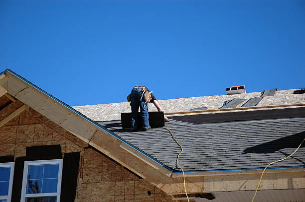 Best Flat Roof Repair Services  in Webberville, MI