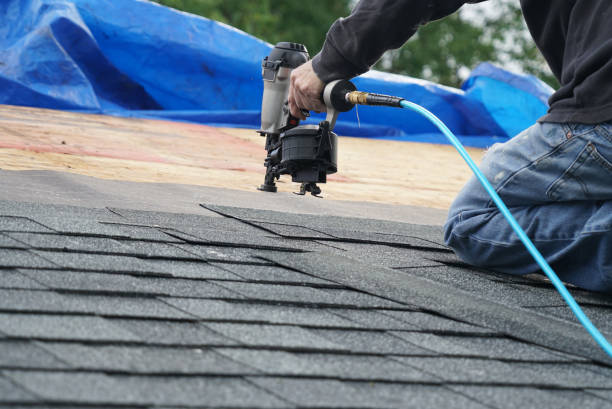 Best Storm Damage Roof Repair  in Webberville, MI