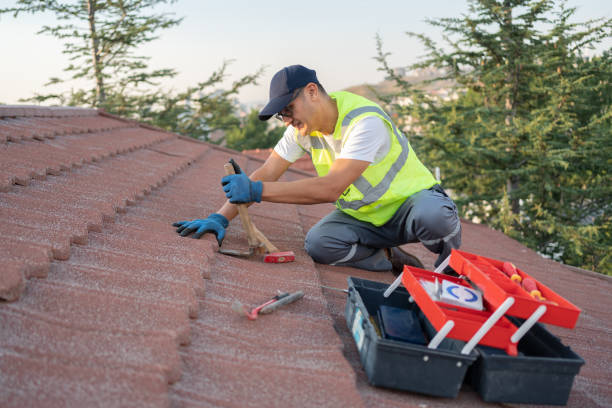Best Best Roofing Contractors  in Webberville, MI