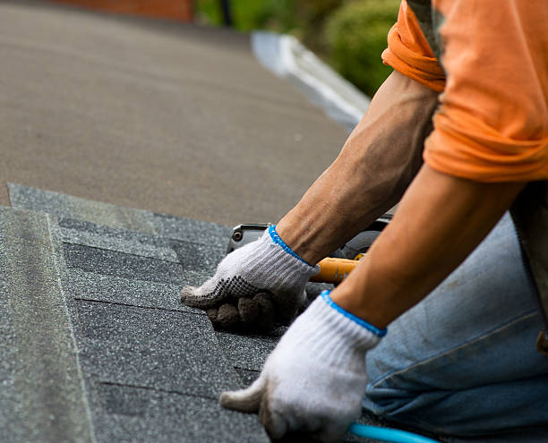 Best Sealant for Roof  in Webberville, MI