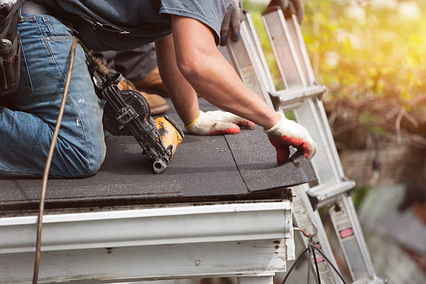 Best Roof Maintenance Services  in Webberville, MI